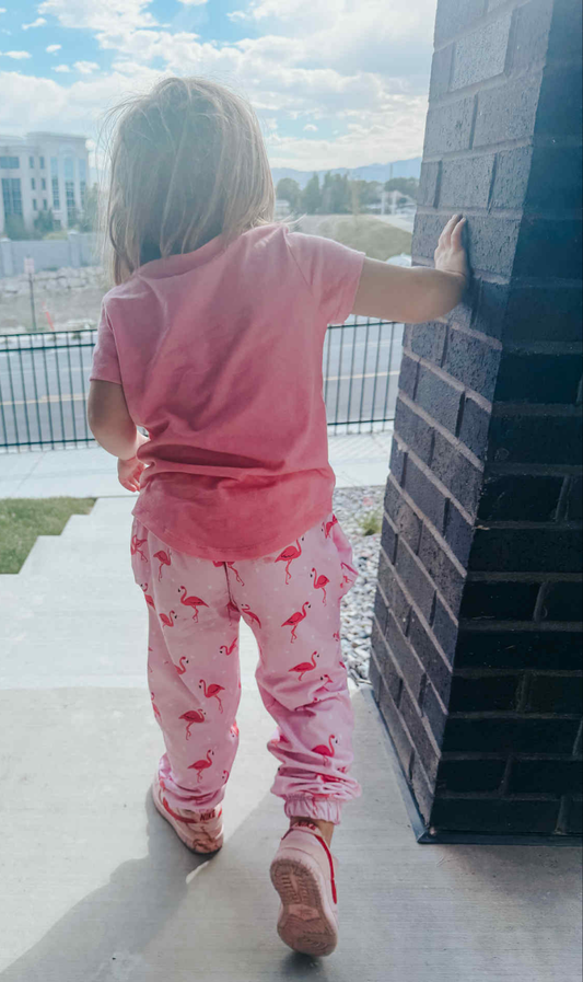 Scout Sweatpants
